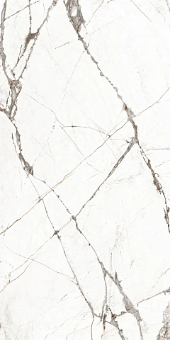 Global Tile Timeline GT120604703MCR