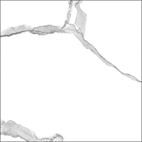 Global Tile Anima GT60601503MR