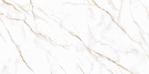 Alma Ceramica Neo Calacatta GFU60120NCL04R
