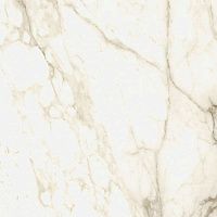 ColiseumGres Michelangelo 610010002748