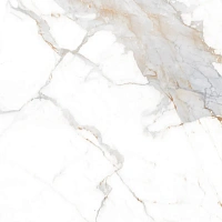 Global Tile Calacatta Imperial GT60606103PR