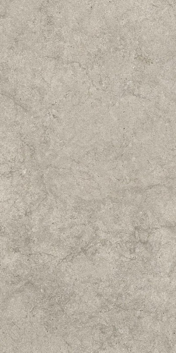 Керамогранит Саленто Грэй 60x120 рет 610010003142