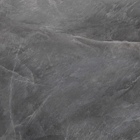 New Trend Salt D60247M
