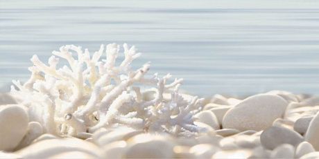 Alma Ceramica Del Mare DWU09DLM624