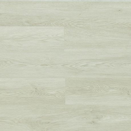 Betta SPC Suite SU1203