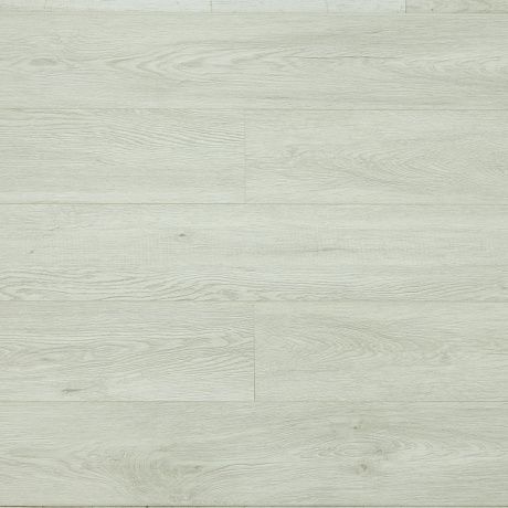 Betta SPC Suite SU1202