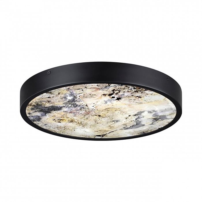 Настенно-потолочный светильник ODEON LIGHT BERGI 5064/24L L-VISION